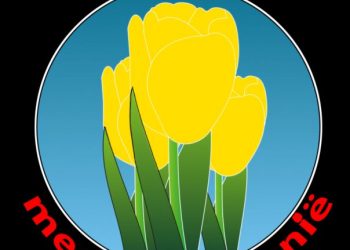 Feesttent op Kalfstermansweide 